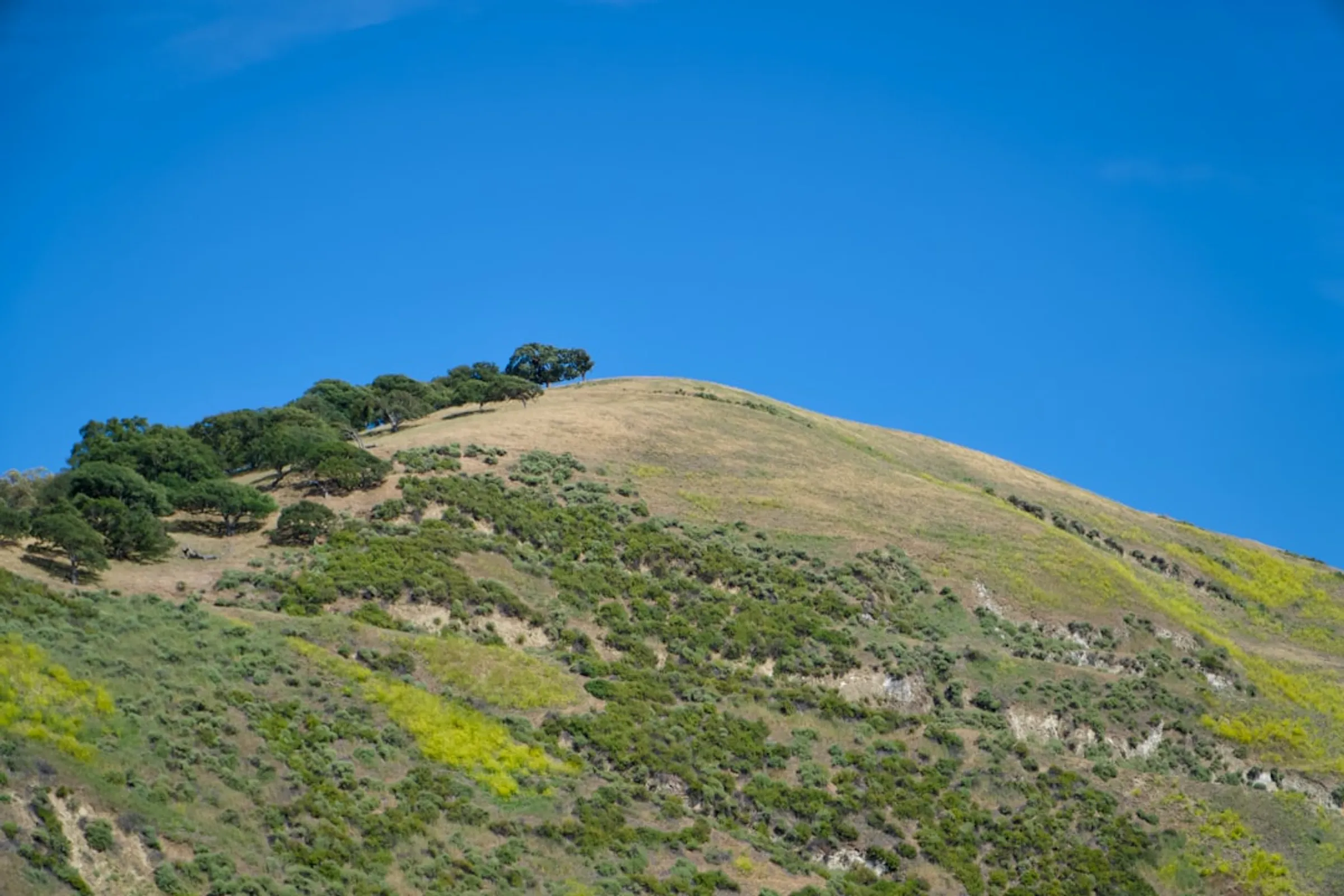 AdVran managed IT services in Upland, California