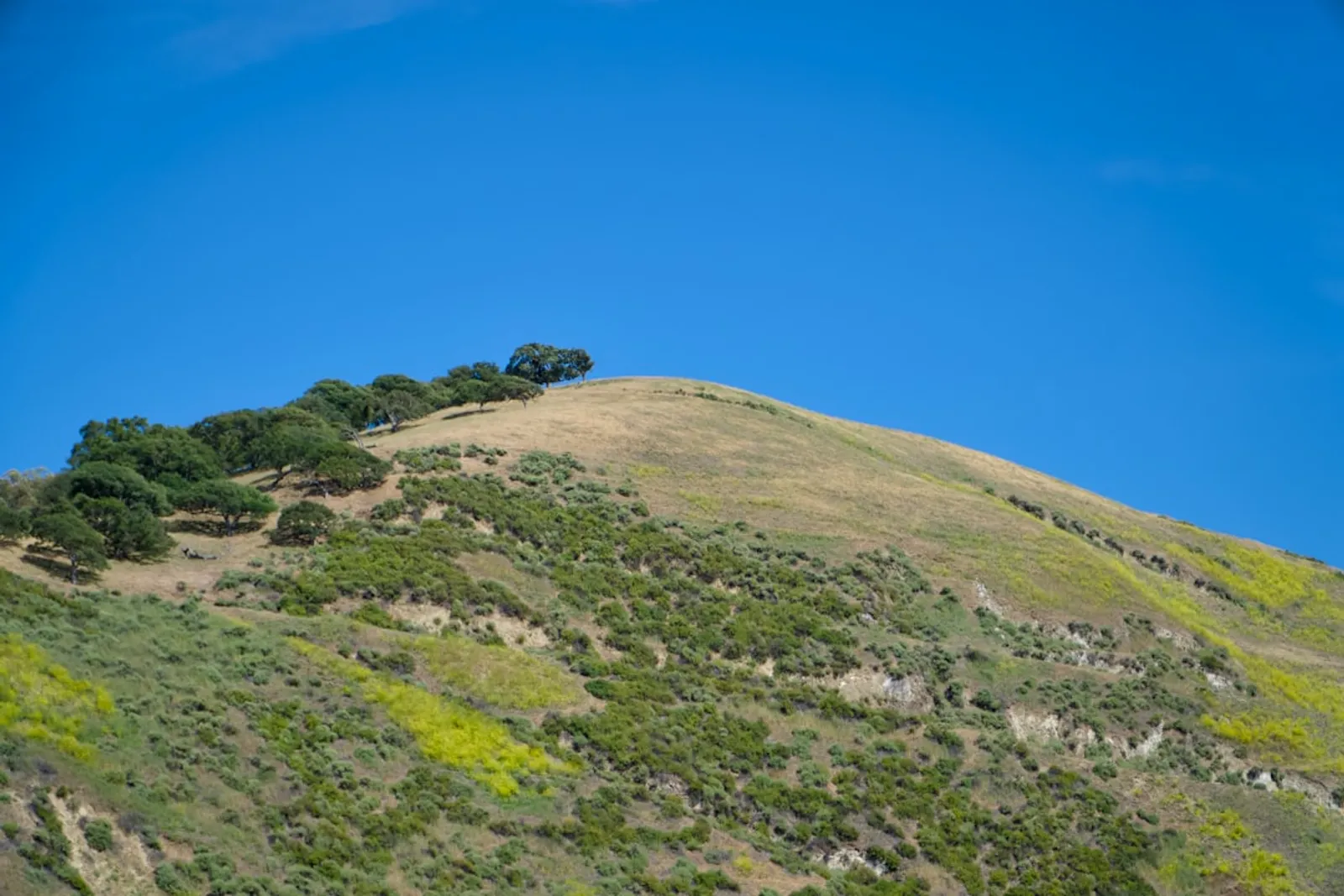 AdVran managed IT services in Upland, California